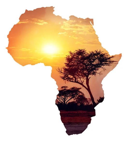 African sunset with acacia, Map of africa concept — Stock Photo, Image