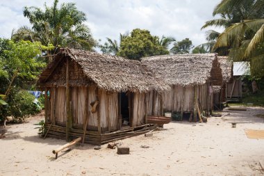 Maroantsetra bölge, Madagaskar Afrika Madagaskarlı kulübeleri