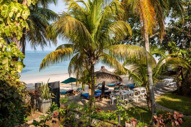 Meraklı olmak, Madagaskar Paradise beach