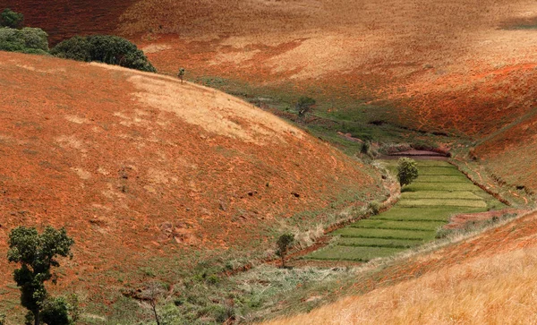 Estrada através de Madagáscar paisagem rural . — Fotografia de Stock