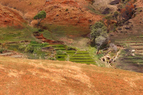 Estrada através de Madagáscar paisagem rural . — Fotografia de Stock