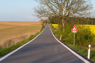 ilkbaharda ağaçlar olan yol