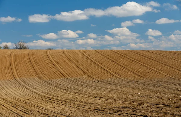 Lente geploegd veld curven op platteland — Stockfoto