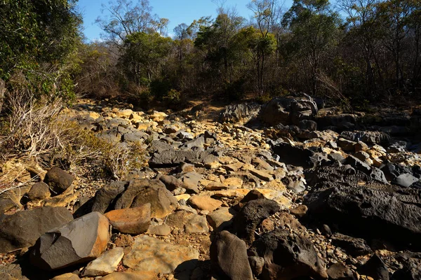 Suchá kamenná koryta, syrové Madagaskar — Stock fotografie