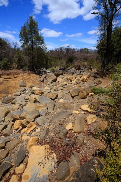 Lecho de río de piedra seca, Ankarana Madagascar — Foto de Stock