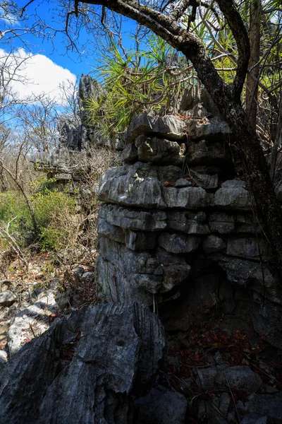 黥基岩地层，在 Ankarana，马达加斯加荒野 — 图库照片