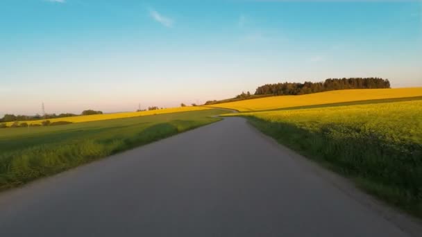 Voiture au printemps rural route de campagne — Video