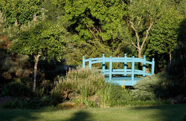 Kleine groene voetgangersbrug over een tuin vijver van Lente — Stockfoto