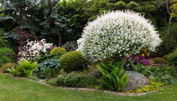 Jardin de printemps coloré — Photo