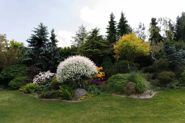 Barevné jarní zahrada — Stock fotografie