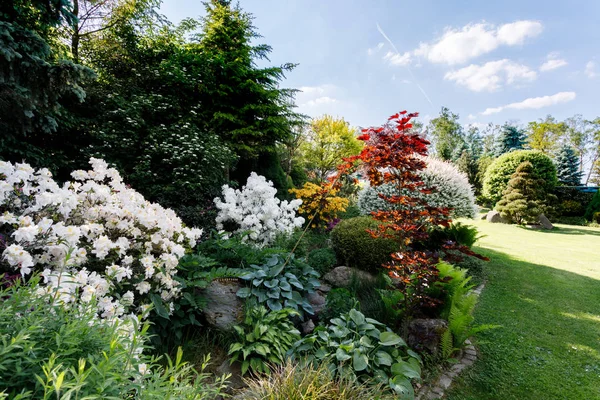 Цветной весенний сад — стоковое фото