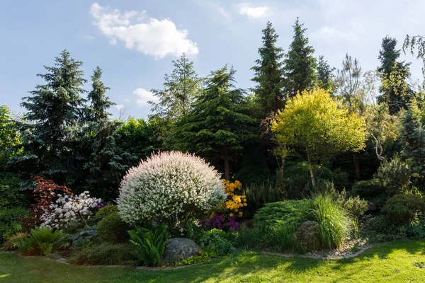 Jardin de printemps coloré — Photo