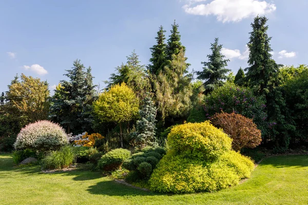 Farbenfroher Frühlingsgarten — Stockfoto