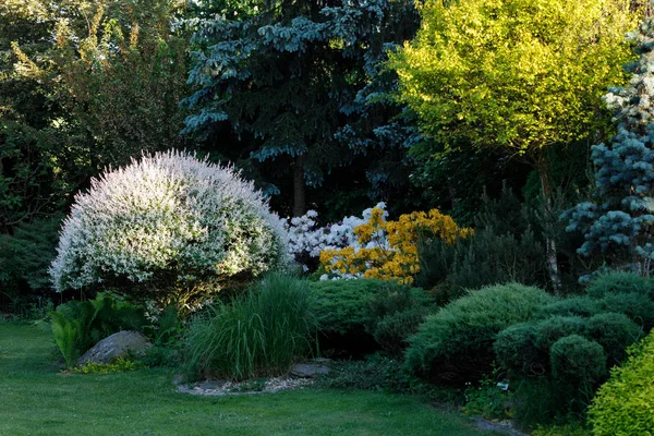 Jardin de printemps coloré — Photo