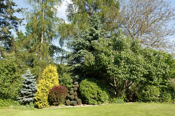 Farbenfroher Frühlingsgarten — Stockfoto
