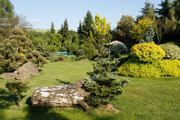 Farbenfroher Frühlingsgarten — Stockfoto