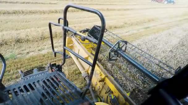 Jordbruk jordbrukare gul skördetröska på fältet — Stockvideo