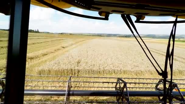 Landbouw boer geel combineren harvester op veld — Stockvideo