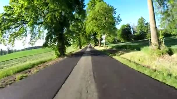 Car drive in spring rural countryside — Stock Video