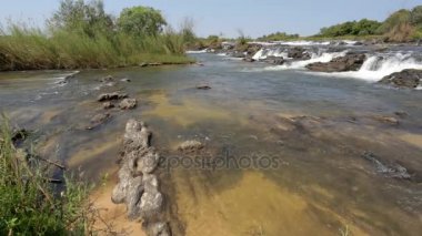 Ünlü Popa Caprivi, Kuzey Namibya nehre düşüyor