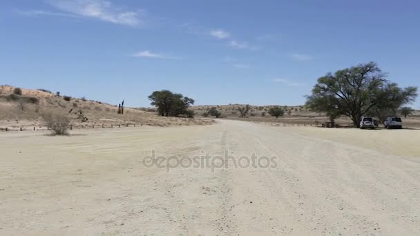 Lugar de descanso parada en el parque transfontier Kgalagadi — Vídeos de Stock