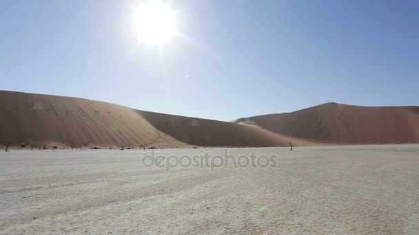 ナミブ砂漠、ナミビア、アフリカの風景ソーサス フライ — ストック動画