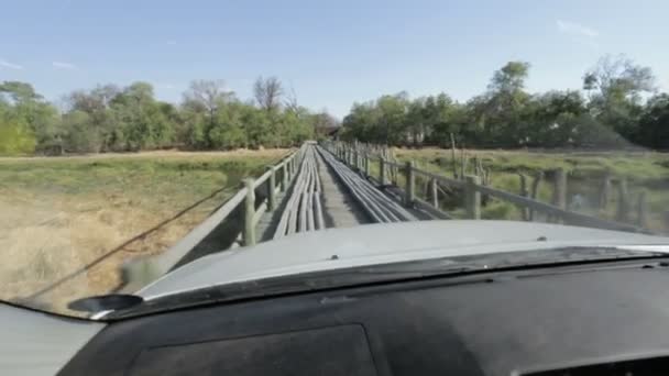 Attraversando il ponte di legno sulle paludi di Okavango, Africa — Video Stock