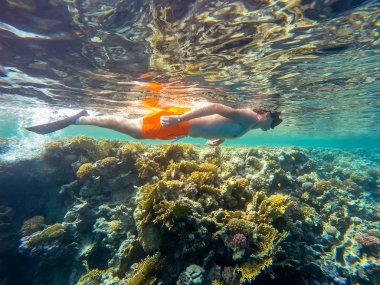 Genç çocuk şnorkel mercan balık ile sığ suda yüzmek