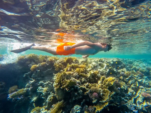 Fiatal fiú légzőcső úszni a sekély vízben korallok hal — Stock Fotó