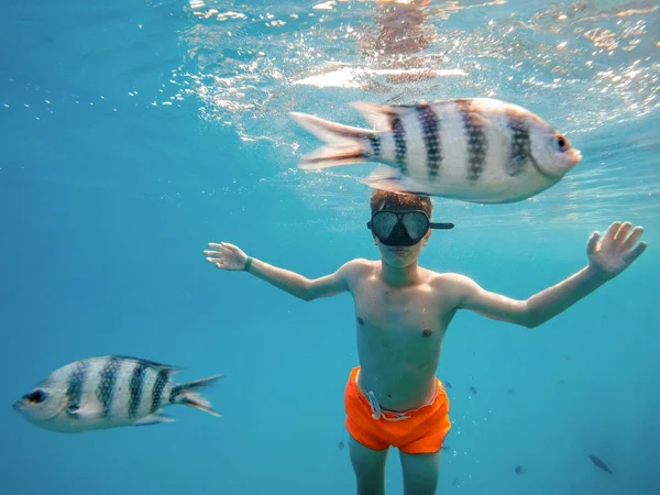 Молодий хлопчик Сноркель плаває у мілководді з кораловою рибою — стокове фото