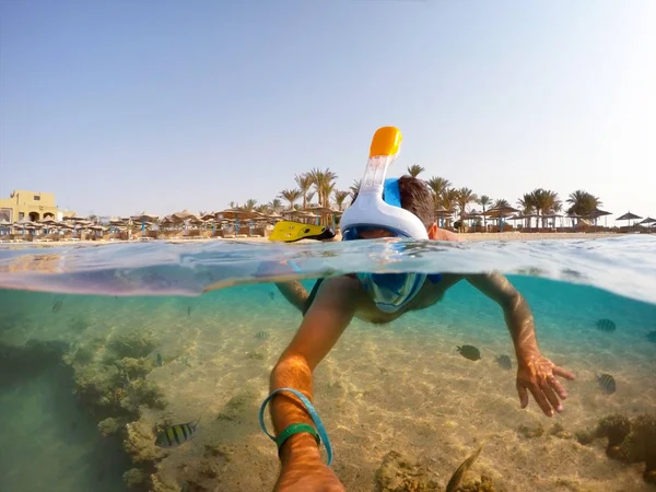 Légzőcső swim sekély vízben korallok hal, Red Sea, Egyiptom — Stock Fotó