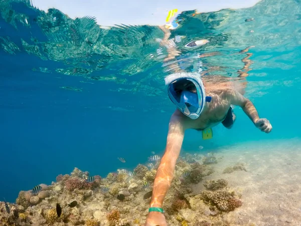 Légzőcső swim sekély vízben korallok hal, Red Sea, Egyiptom — Stock Fotó