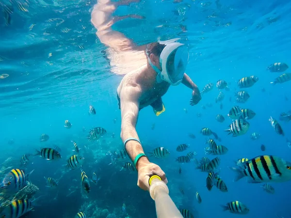 Трубка поплавати у мілкій воді з коралових рибок, Червоного моря, Єгипет — стокове фото