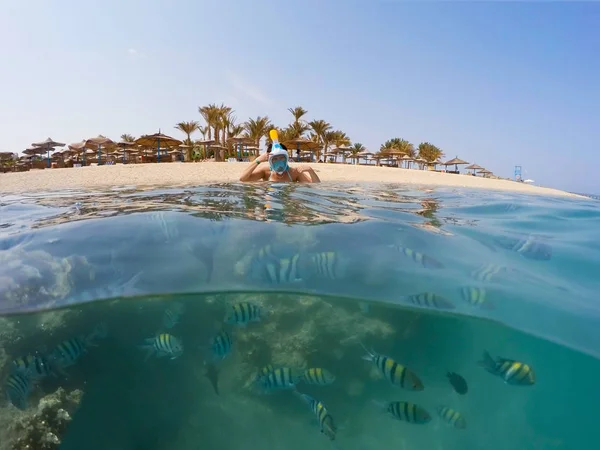 Víz alatti felületen, osztott nézet, korall, hal- és resort beach szellemes — Stock Fotó