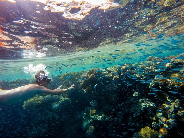 Молодий хлопчик Сноркель плаває у мілководді з кораловою школою Фібі — стокове фото