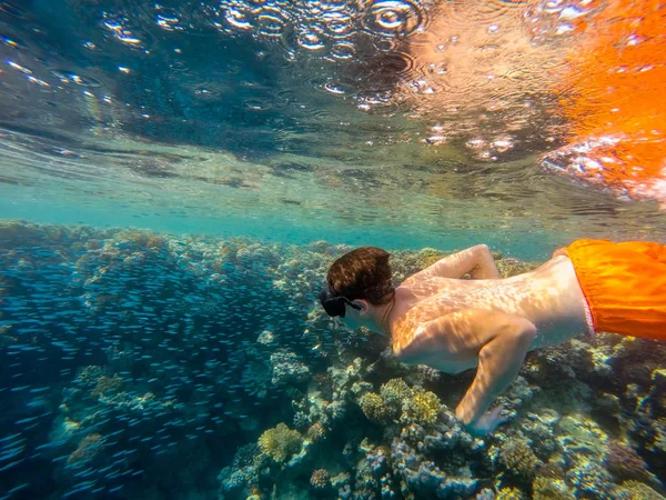 Jovem Snorkel nadar em águas rasas com escola de corais de fis — Fotografia de Stock