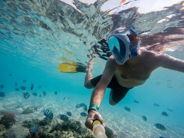 Légzőcső swim sekély vízben korallok hal, Red Sea, Egyiptom — Stock Fotó