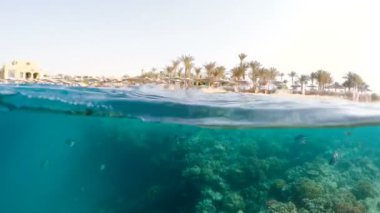 Sualtı yüzey bölünmüş görünüm mercan balık ve resort Beach