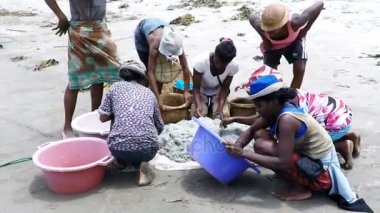 Yerli balıkçılar balıkçılık deniz üzerinde yakalayan balık seçilmesi kadın