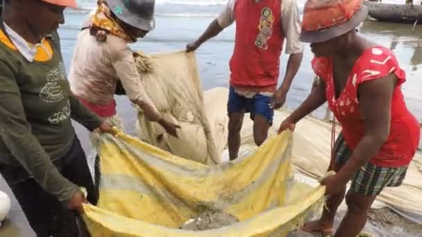 Pêcheurs autochtones pêchant en mer, femme sélectionnant les poissons capturés — Video
