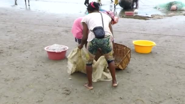 Inheemse vissers die vissen op zee, vrouw gevangen vis selecteren — Stockvideo