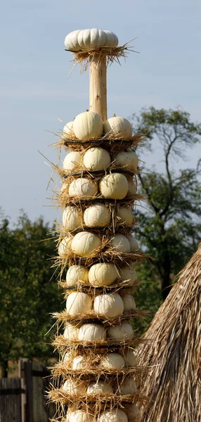 Rijpe najaar pompoenen gerangschikt op totem in boerderij — Stockfoto