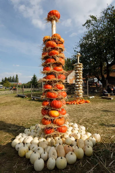 Abóboras maduras de outono dispostas em totem na fazenda — Fotografia de Stock
