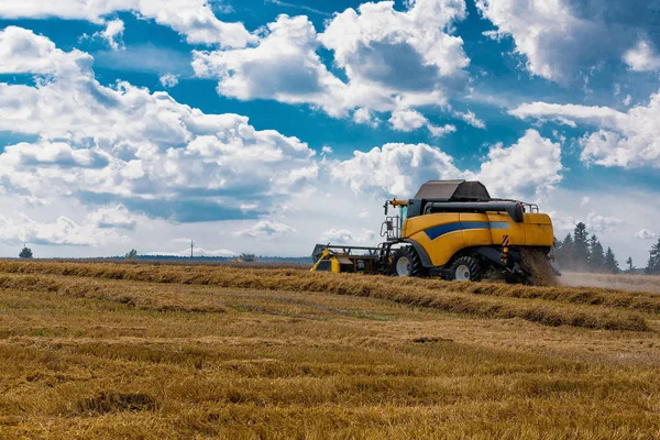 Summer harvesting with automatic harvester — Stock Photo, Image
