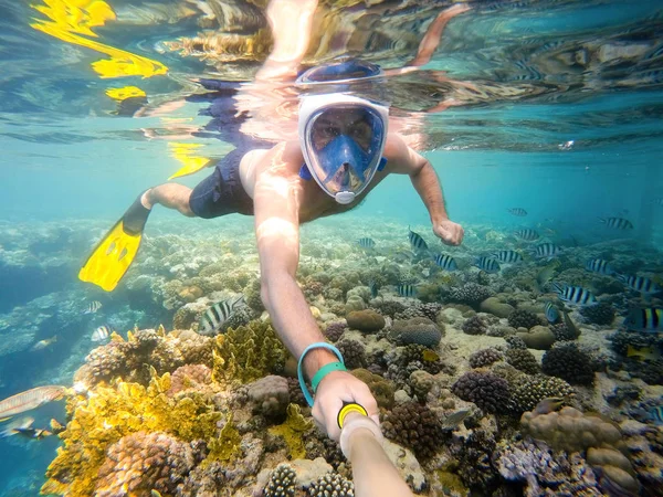 man snorkel in shallow water on coral fish