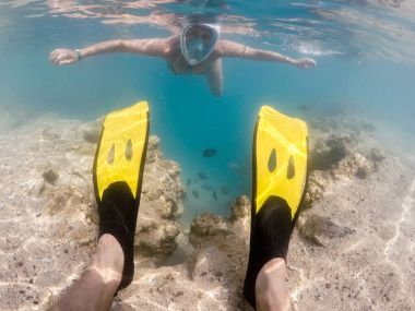 Kadın şnorkel ile okul mercan balık, Red Sea, Mısır