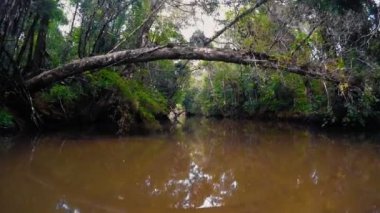 Masoala Milli Parkı, Madagaskar, manzara
