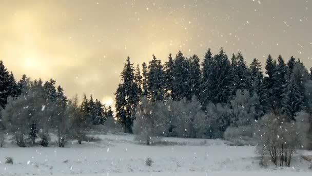 Paesaggio invernale senza soluzione di continuità loop sfondo con fiocchi di neve — Video Stock