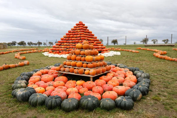 Sonbahar piramit gibi eğlenmek için düzenlenmiş kabaklar hasat