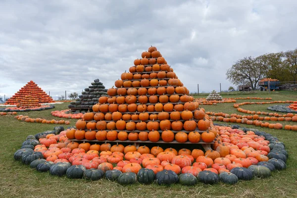 Na podzim sklizené dýně pro zábavu jako pyramida — Stock fotografie